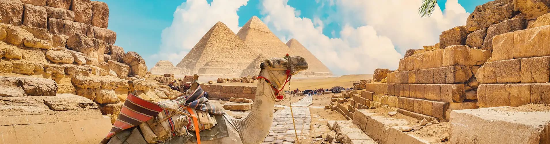 Tours a Egipto Tours a Egipto