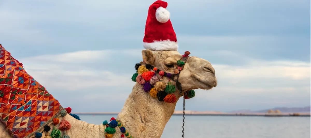 Viajes de Navidad En Egipto Viajes de Navidad En Egipto